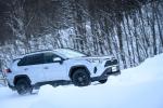Toyota RAV4 2019 года (JP)